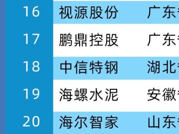 2020年中国制造业价值500强，MAXHUB母公司视源股份位居第16位